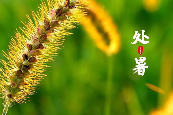 �ƶ�����(Malaysia)���Źٷ���վ