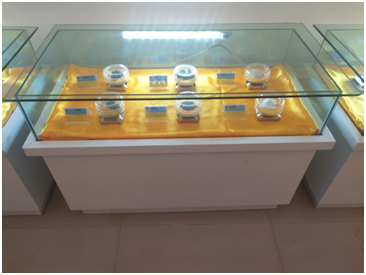 k8������(����) - �ٷ���վ