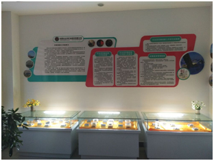 k8������(����) - �ٷ���վ