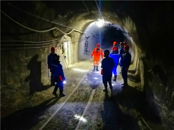 �����������