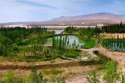 k8¡¤¿·¢(¹ú¼Ê) - ¹Ù·½ÍøÕ¾