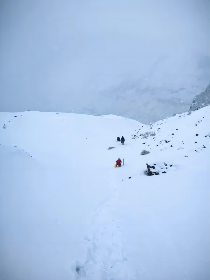 k8¡¤¿·¢(¹ú¼Ê) - ¹Ù·½ÍøÕ¾