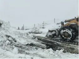 k8¡¤¿·¢(¹ú¼Ê) - ¹Ù·½ÍøÕ¾